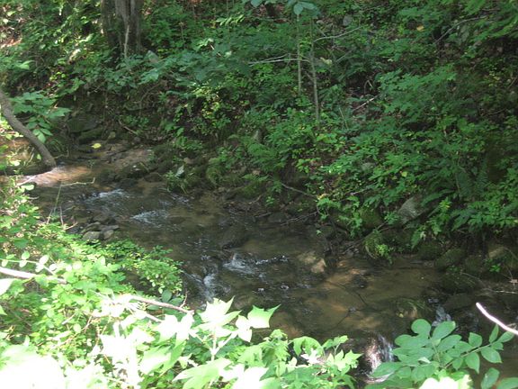 3rd image of Cub Creek Road