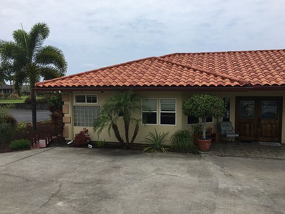 Entry..stained gls Dolphins 