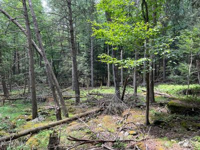 LOT 75 Happy Hollow Dr, Shohola, PA, 18458
