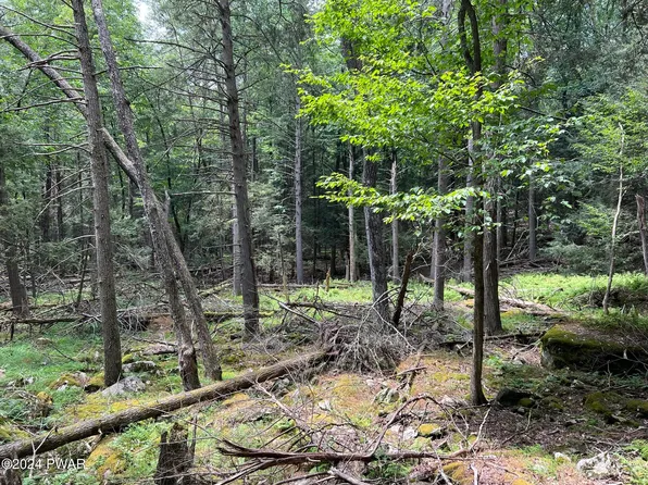LOT 75 Happy Hollow Dr, Shohola, PA 18458