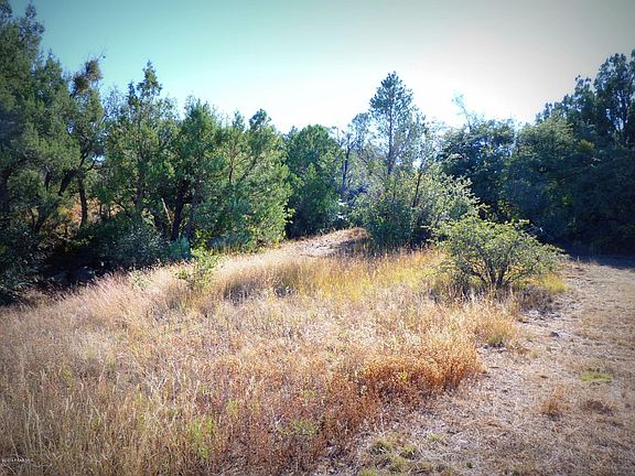 3rd image of 204 S Black Forest Cir