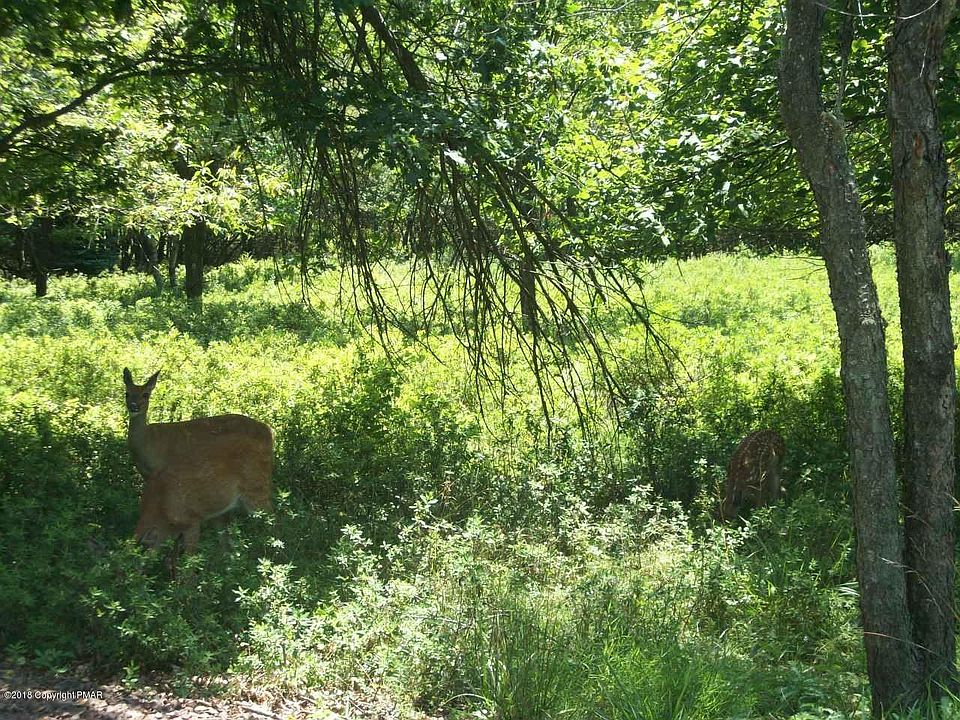 1st image of Kilmer Trail & Sitwell Ln