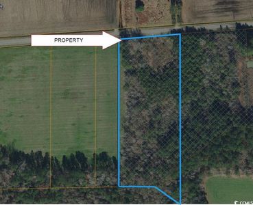 LOT 6 Tract B Oak Grove Church rd., Nichols, SC, 29581