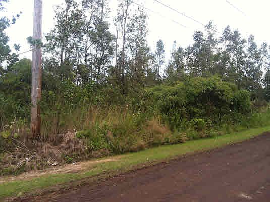 1st image of 33rd Ave Lot 50