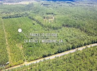 0 Highway 259, Woodbine, GA 31569