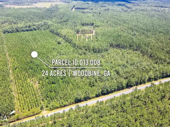 0 Highway 259, Woodbine, GA 31569