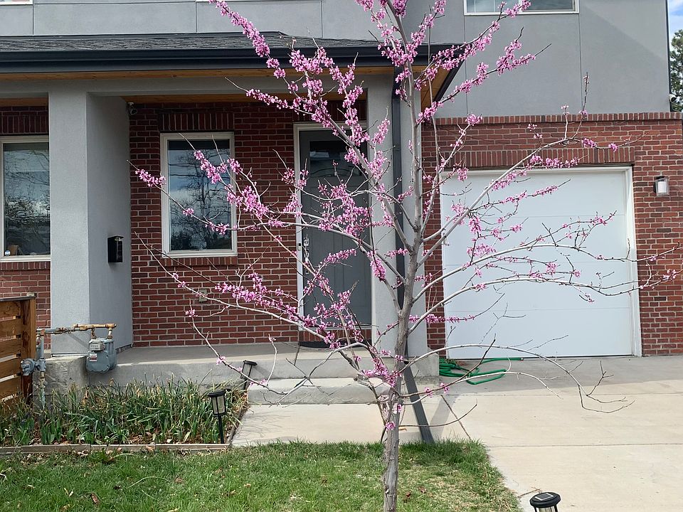 Outside of home in the summer