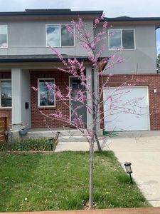 1493 W 44th Ave, Denver, CO, 80211