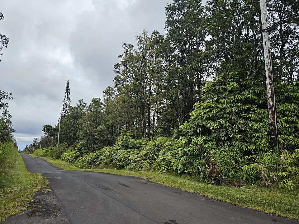 1st image of Anthurium St Lot 8163