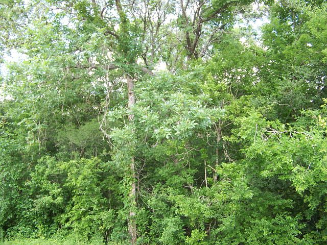 1st image of 1208 County Road 312