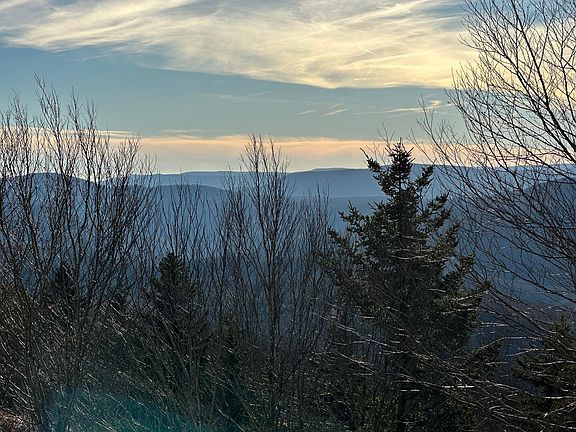 2nd image of 203D Summit Dr