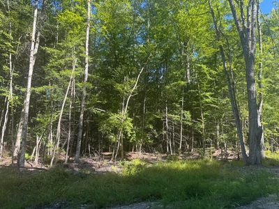 Lot 7 Alice Drive, Limerick, ME, 04048
