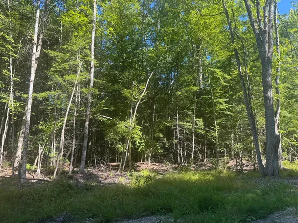 Lot 7 Alice Drive, Limerick, ME 04048