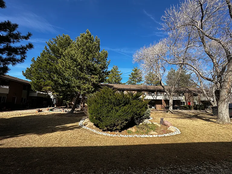 Shared courtyard
