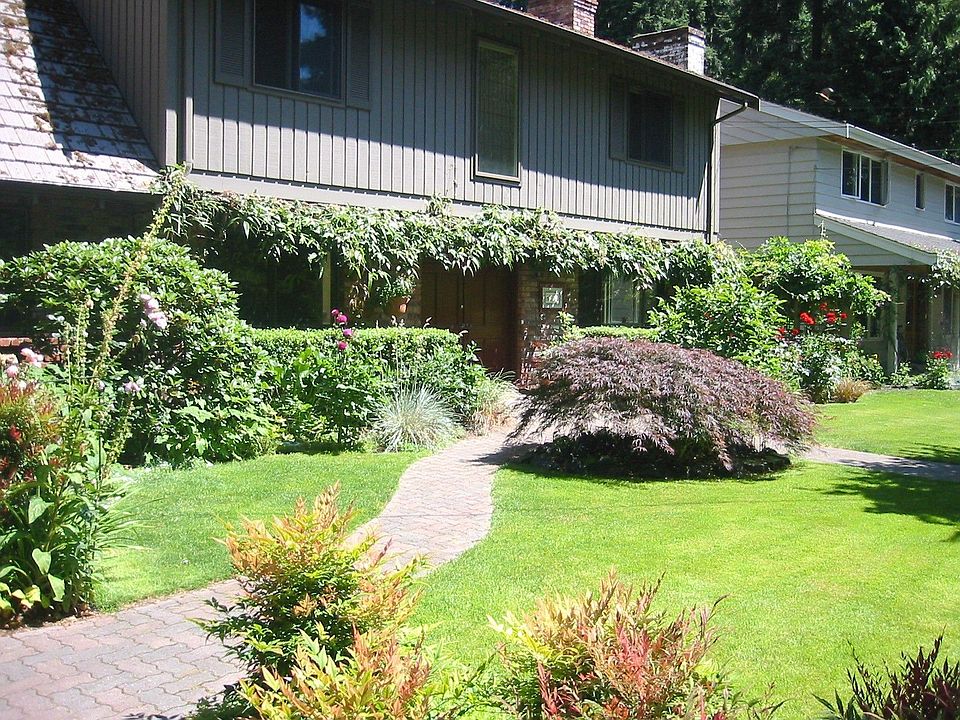 Front yard