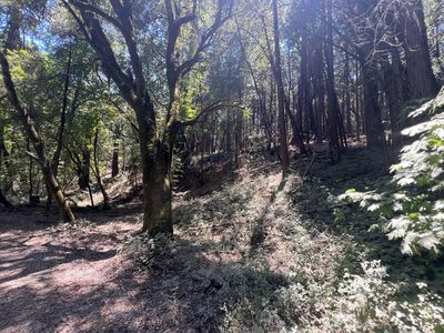 15679 Highway 26, Glencoe, CA, 95232