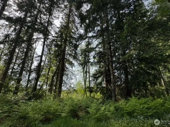 11106 Spruce Dr, Anderson Island, WA 98303