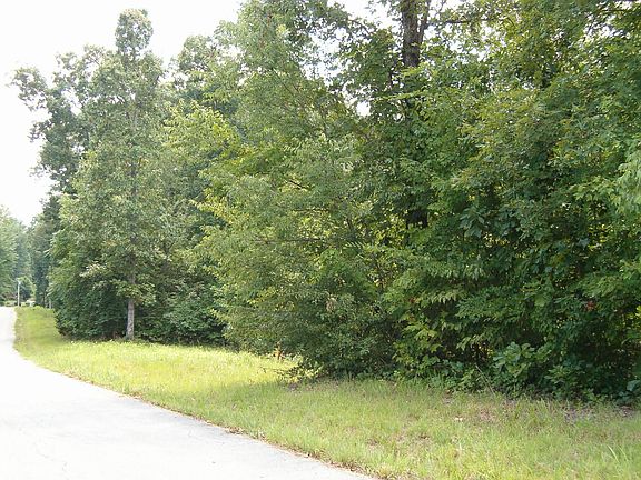 5th image of 0 Woods Ln Lot 31