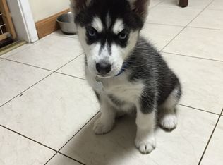 6838 San Vincente St, Paramount, CA 90723