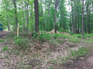 1985 Hiawatha Trl, Hubbard Lake, MI 49747