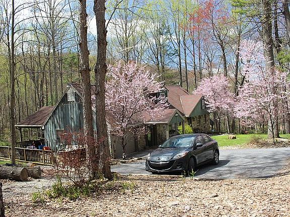 Spring in the Mountain