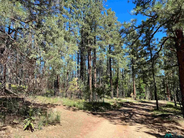 37 Don Jose Dr, Rociada, NM 87742