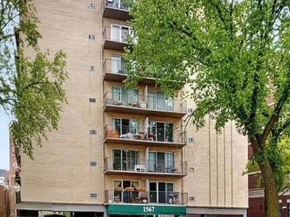 1567 Ridge Ave APT 206, Evanston, IL 60201