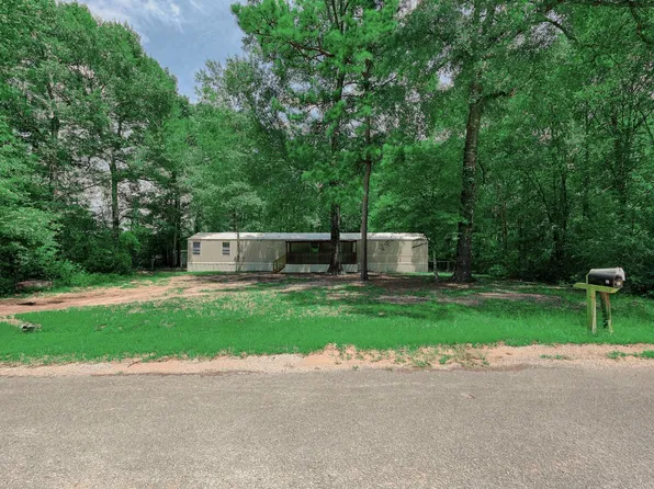 81 Virginia Creek Dr, Coldspring, TX 77331