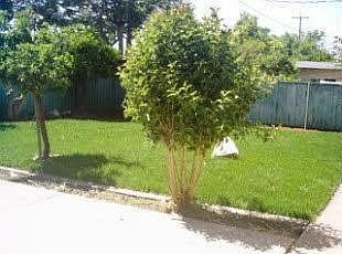 3rd image of 1499 Farringdon Dr