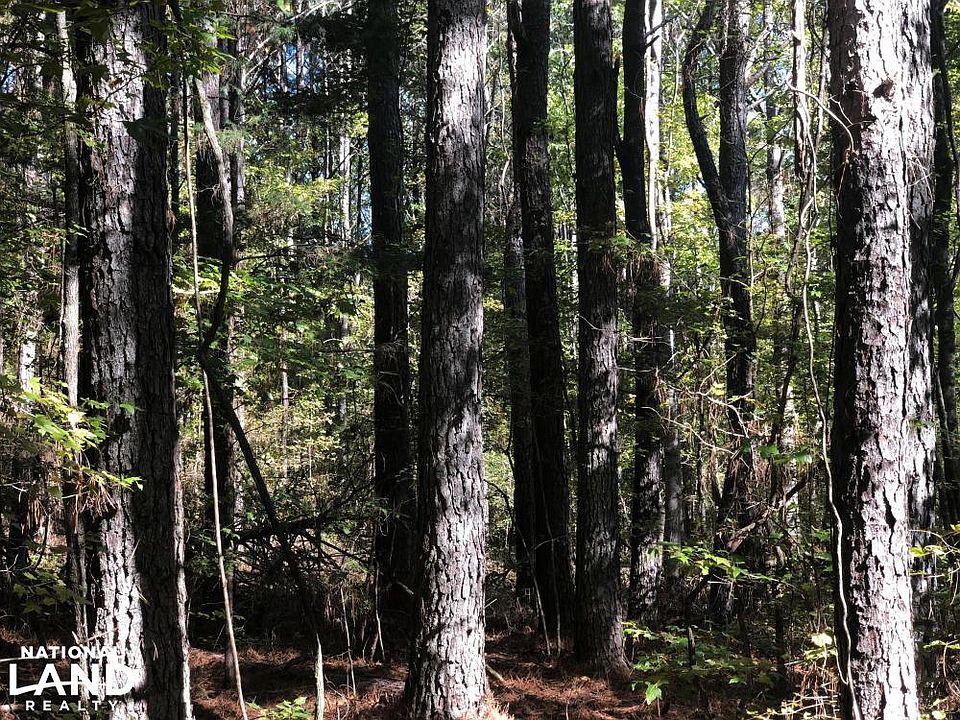 Timber investment.