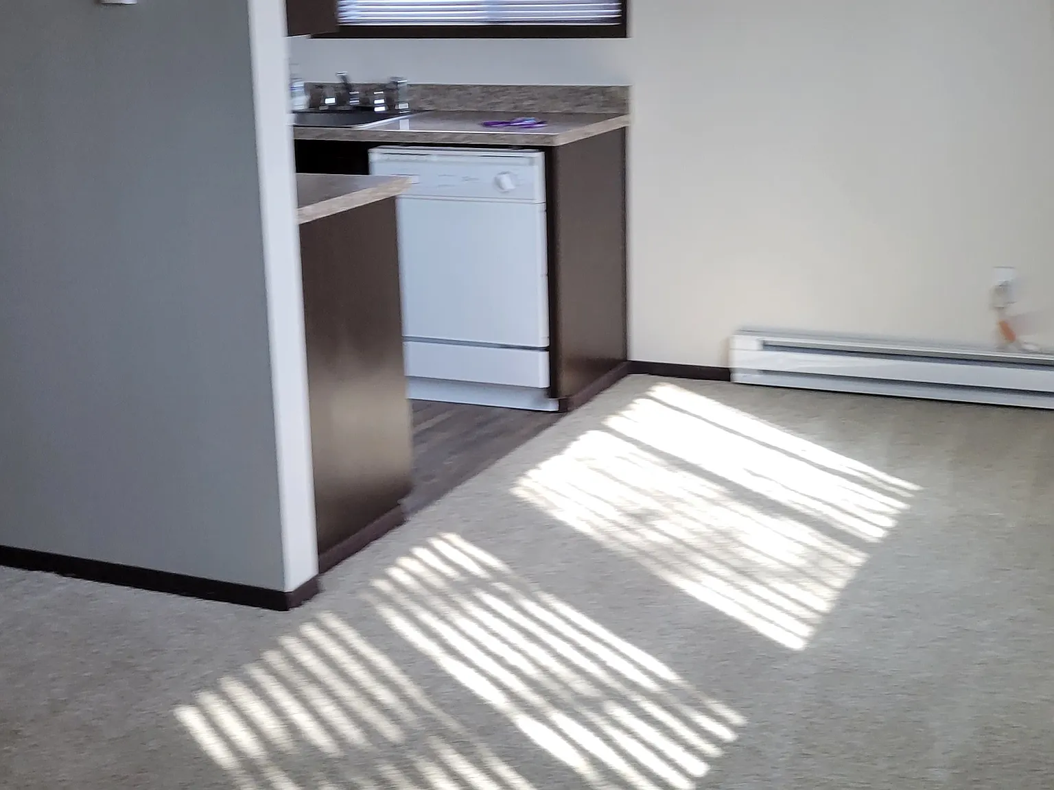 2 bed, 970 sqft, $1,600 — Photo 3
