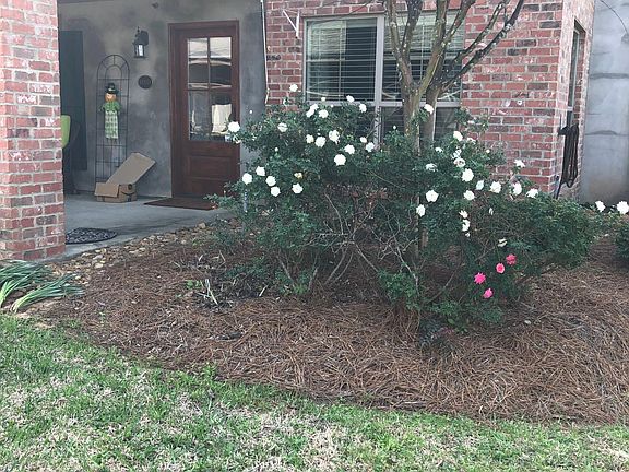 2nd image of 608 Ansley Blvd #D