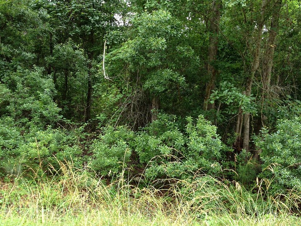 1st image of 35 Scrub Oaks Drive