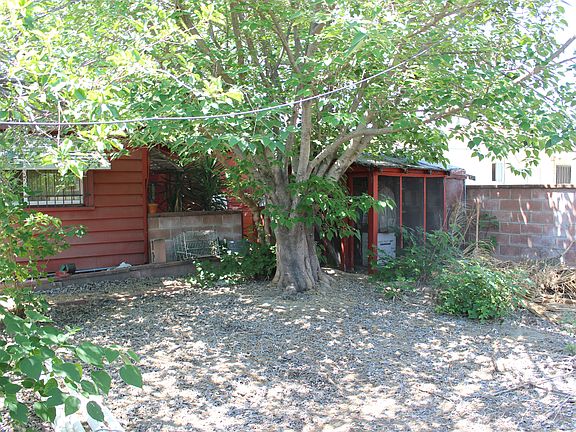 Back yard 