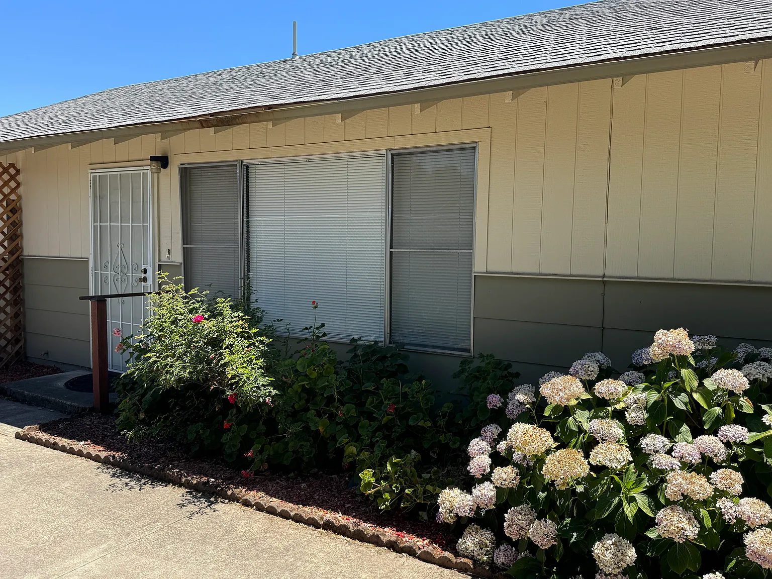2 bed, $1,950 — Photo 2