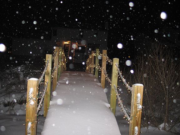    Bridge