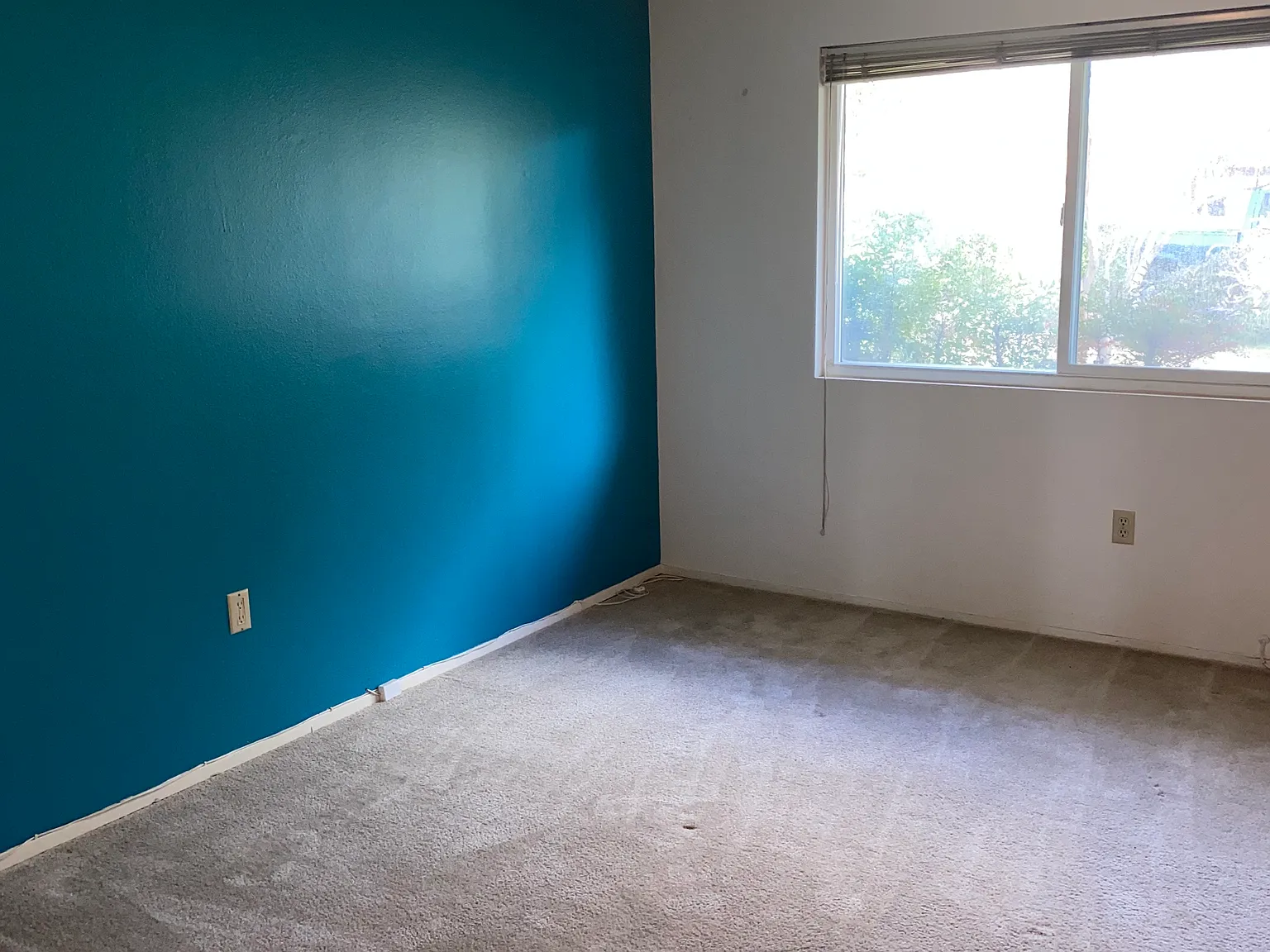 27221 Meridian St — Photo 4