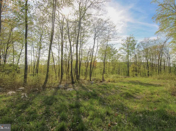 26 Rocky Gap Trl, Mc Henry, MD 21541