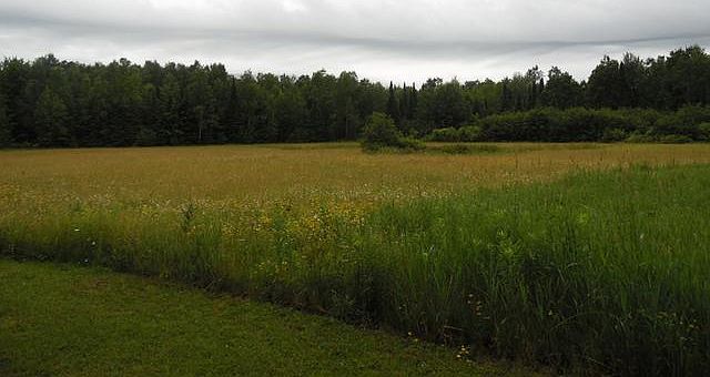 N4433 Circle Dr, Brantwood, WI 54513 | Zillow