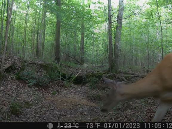 3rd image of 0 Ridgetop Rd Lot 43