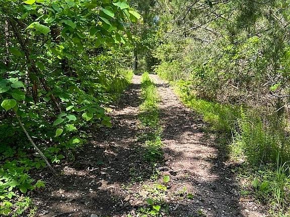 5th image of Mountain Grove Ln