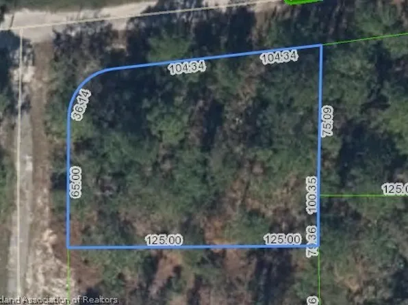 233 Moon Glow Ct, Lake Placid, FL 33852