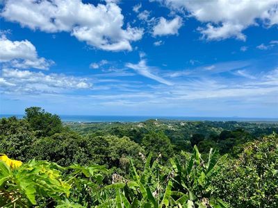 State Highway 3351, Mayaguez, PR, 00680