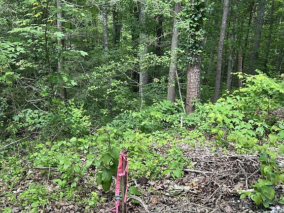 3rd image of 52 Emerald Way Lot 5A-2