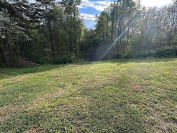 4th image of 259 Union Hill Moss Rd