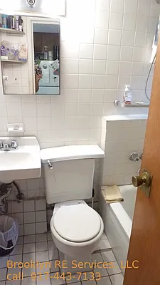 Rented by Brooklyn Real Estate Services | media 18