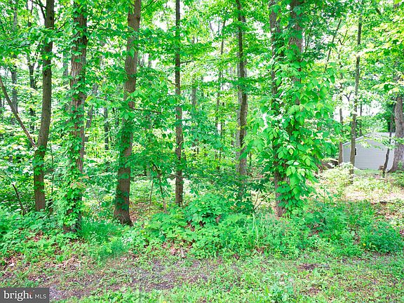 2nd image of LOT 50 Gilmore Trl