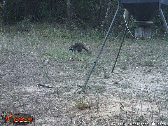 4th image of 139 NW County Rd #1061