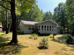 6703 Gooselake Rd, Indian River, MI 49749