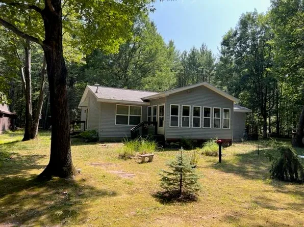 6703 Gooselake Rd, Indian River, MI 49749